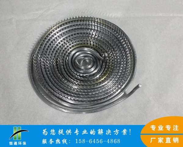 衡阳芒刺线