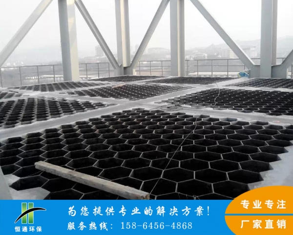 电除尘水蜜桃成人AV在线